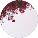 Moïra West profile picture